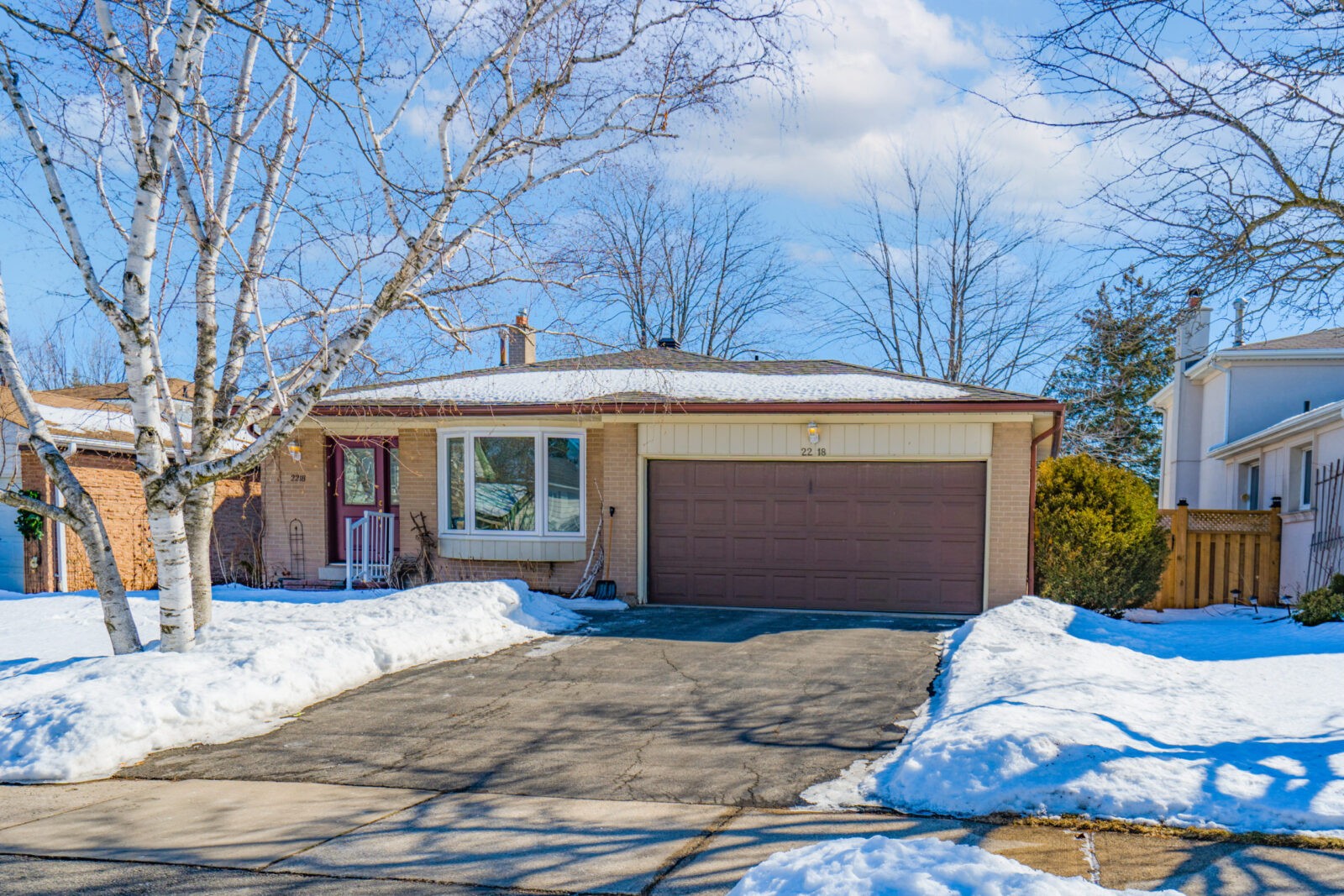 2218 Buttonbush